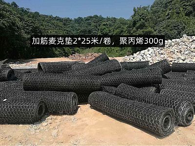 加筋麥克墊網(wǎng)格8*10cm,聚丙烯質(zhì)量300g,多少錢，怎么賣？